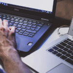 The Rise of Cybersecurity Diplomacy Between Nations